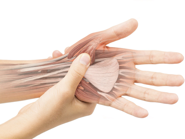 Orthopädie und Chirurgie (Schwerpunkt Handtherapie)